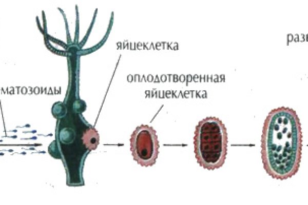 Кракен сайт ссылки актуальные