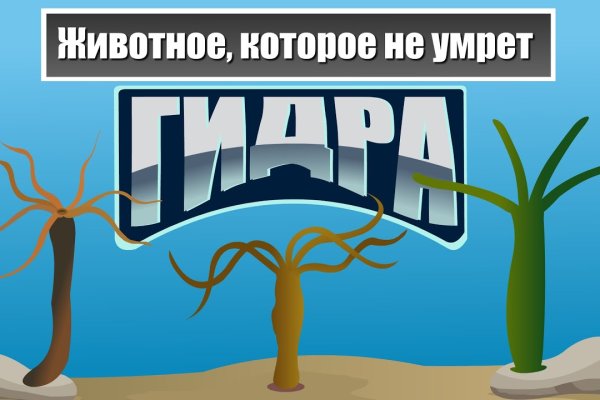 Как зайти на кракен в торе