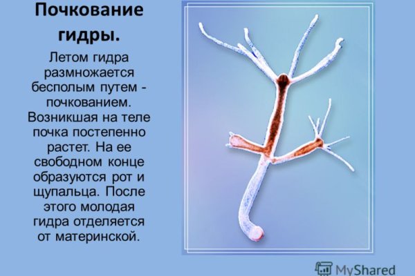 Открыть даркнет