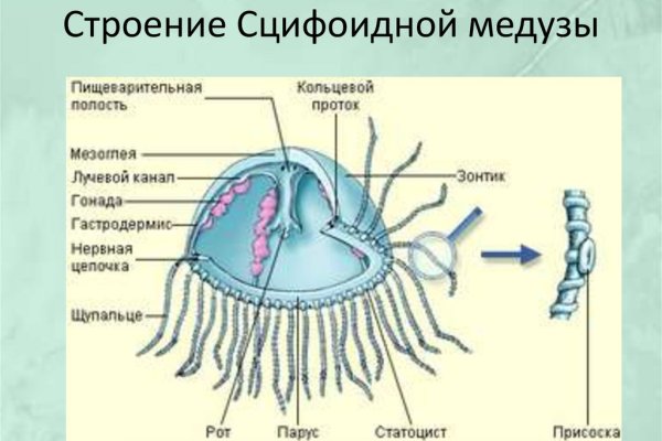 Как вывести с кракена