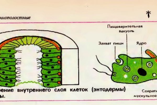 Как зарегистрироваться в kraken