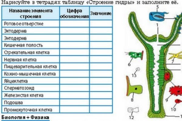 Кракен даркнет плейс